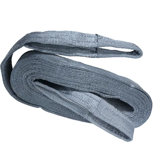 Torso_WS410_Webbing sling 4 ton 10mtr-1.webp