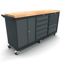 Workbench mobile 2 doors 12 drawers cabinet EXPERT