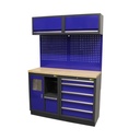 Workshop module 1 BLUE