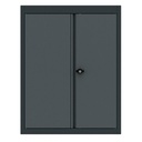 Top cabinet 2 doors low model Expert