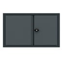 Wall cabinet 2 doors Expert
