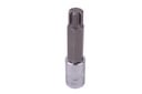 Ribe socket bit