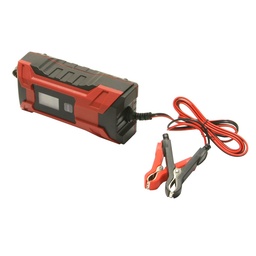 [BC04AI] Battery charger 6V/12V - 2A/4A