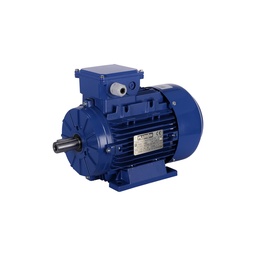 [T3A8024] Electric motor 0,75kW 1440rpm IE3 230/400V