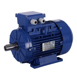 [T3A132S12] Electric motor 5,5kW 2930rpm IE3 400/690V