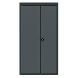 [BG62TCD2] Bovenkast 2 deurs Expert