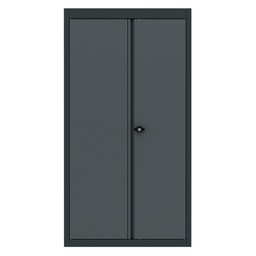 [BG62TCD2] Top cabinet 2 doors Expert