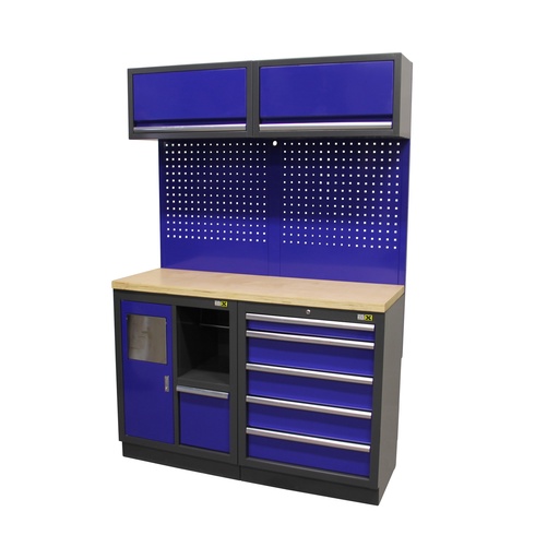[GCMOD1BLUE] Workshop module 1 BLUE
